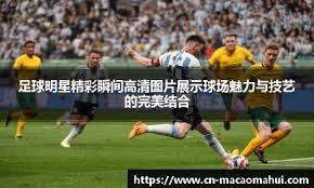乒乓球混团世界杯：中国队一日双胜 延续强势表现